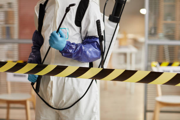 Professional Sewage Cleanup technician working in Commerce, GA